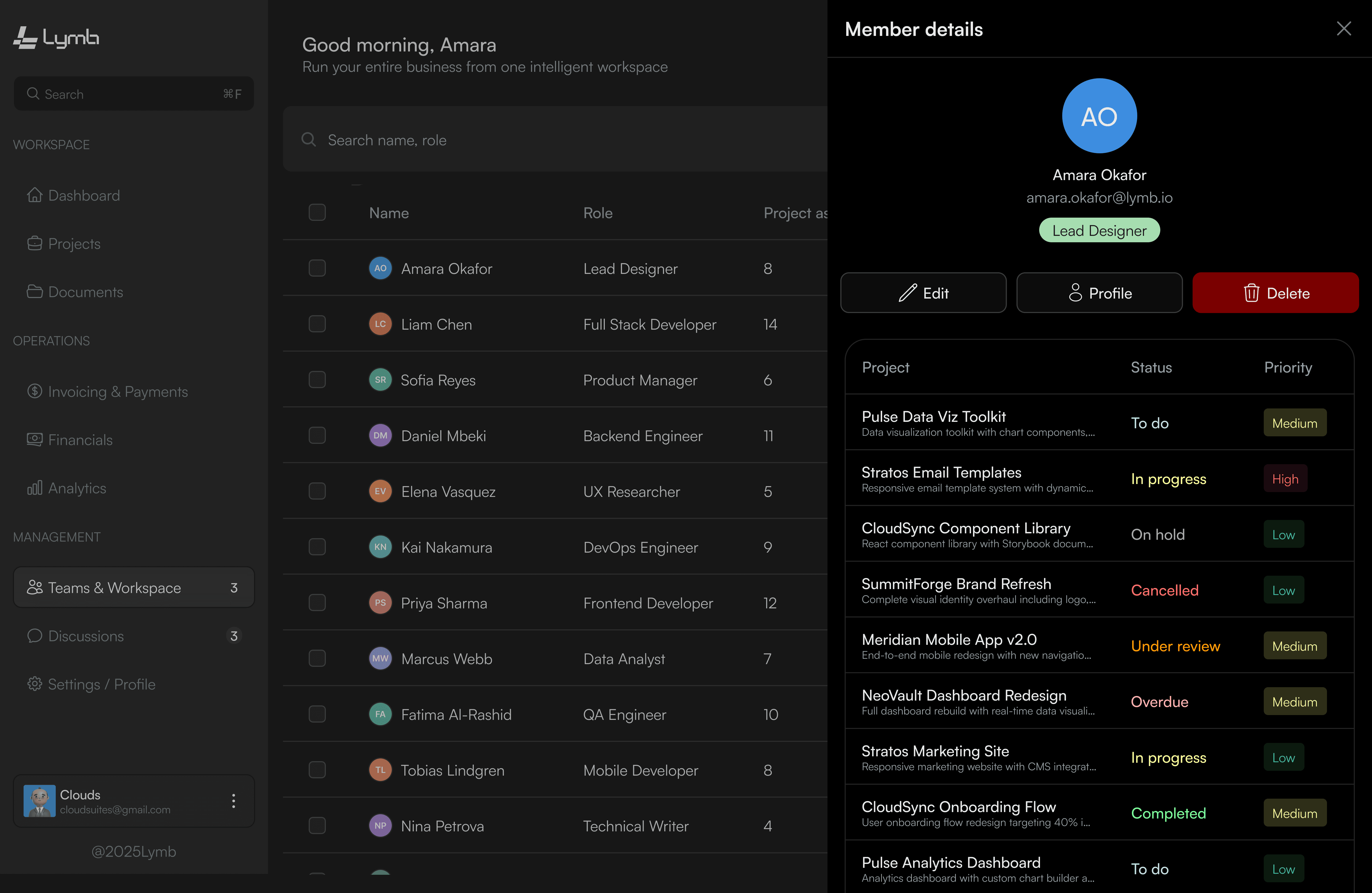 The team view: members listed with their roles and permissions.